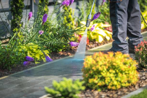Best Concrete Surface Cleaning in Fern Park, FL